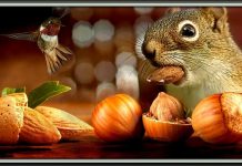 Appel aux actionnaires