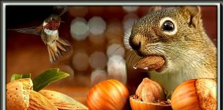 Appel aux actionnaires