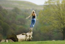 Pourquoi y a t-il des dominants et des dominés ?