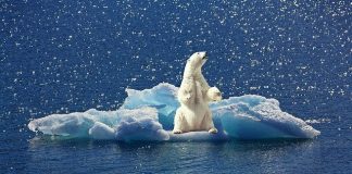 Profitons de la crise climatique pour changer de modèle